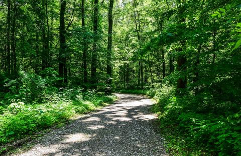 15080 Robins Rd, Johnstown, OH 43031 photo 6