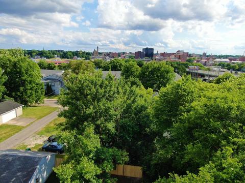 307 Chestnut Ave, Springfield, OH 45503 photo 4