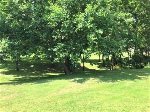 4863 Pitchin Rd S, Springfield, OH 45502 photo 2