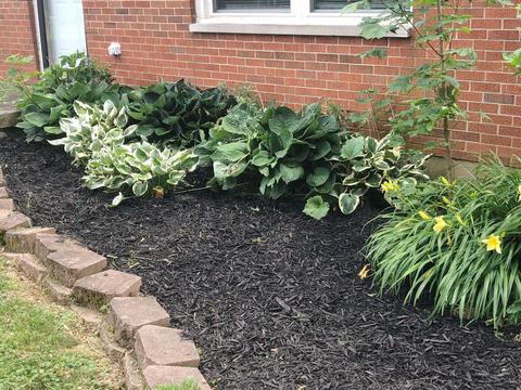 5081 E County Line Rd, Springfield, OH 45502 photo 43