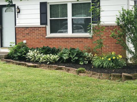 5081 E County Line Rd, Springfield, OH 45502 photo 41
