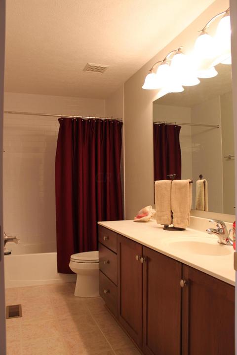 4381 Beech Wood Loop, Dublin, OH 43016 photo 33