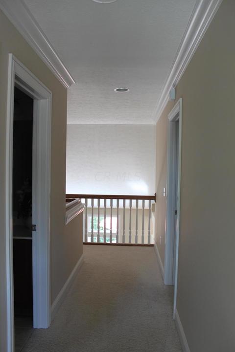 4381 Beech Wood Loop, Dublin, OH 43016 photo 31