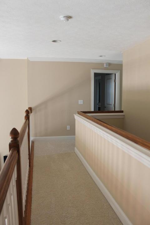 4381 Beech Wood Loop, Dublin, OH 43016 photo 27