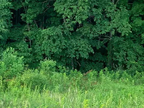 19672 Feathers Rd, Logan, OH 43138 photo 21
