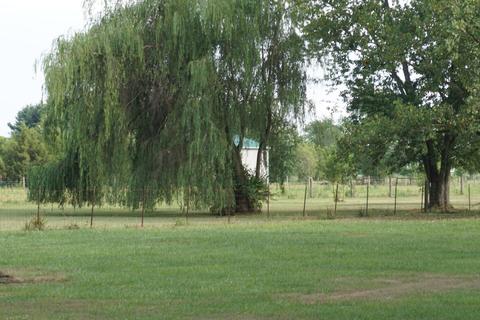 10323 Creamer Rd, Orient, OH 43146 photo 32
