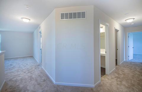 2815 Summerland Loop, Powell, OH 43065 photo 19