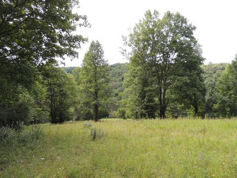 9026 Walnut Dowler Rd, Logan, OH 43138 photo 8