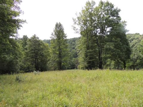 9026 Walnut Dowler Rd, Logan, OH 43138 photo 9