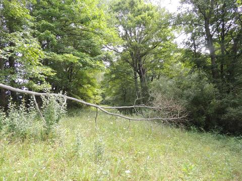 9026 Walnut Dowler Rd, Logan, OH 43138 photo 7