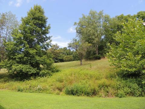 9026 Walnut Dowler Rd, Logan, OH 43138 photo 6