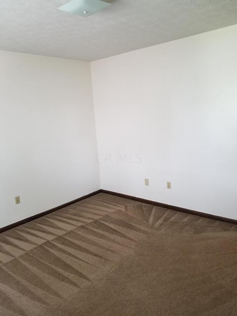 135 E Maynard Ave, Columbus, OH 43202 photo 10