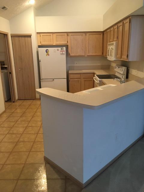 6343 Pinehurst Pointe E, Westerville, OH 43082 photo 2