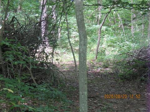 9078 Walnut Dowler Rd, Logan, OH 43138 photo 48