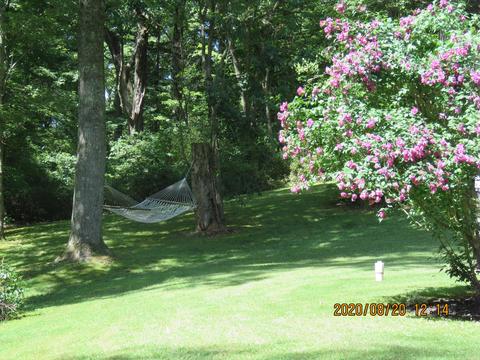 9078 Walnut Dowler Rd, Logan, OH 43138 photo 9