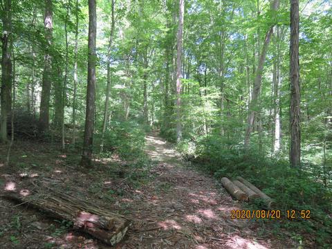 9078 Walnut Dowler Rd, Logan, OH 43138 photo 46