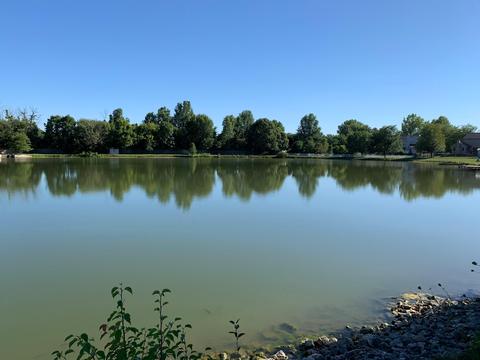 290 Firestone Dr, Delaware, OH 43015 photo 9
