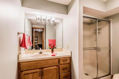 8509 Stonechat Loop, Dublin, OH 43017 photo 54