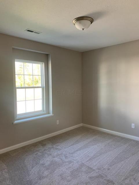 6919 Ringbill Loop, Sunbury, OH 43074 photo 19