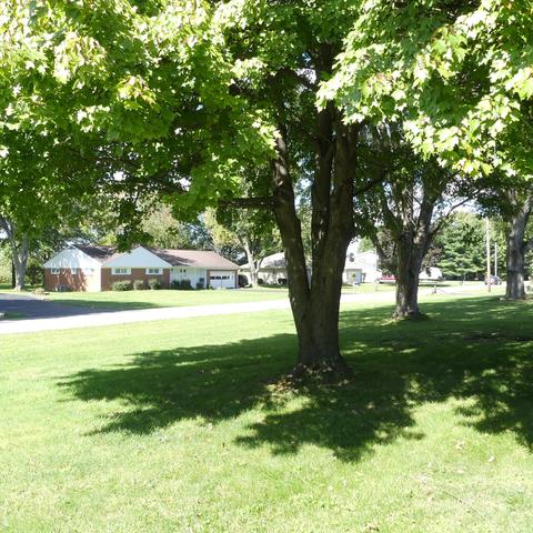 1166 Forest Hill Dr, Marion, OH 43302 photo 7