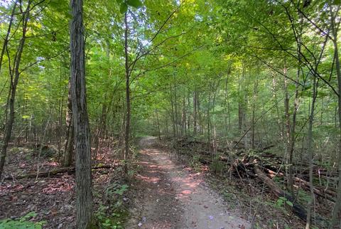 15700 Toad Run Rd, Rockbridge, OH 43149 photo 31