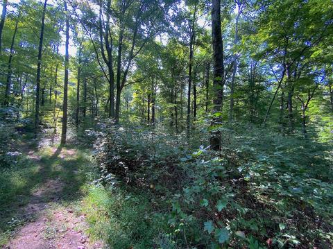 15700 Toad Run Rd, Rockbridge, OH 43149 photo 42