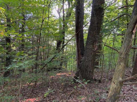15700 Toad Run Rd, Rockbridge, OH 43149 photo 30