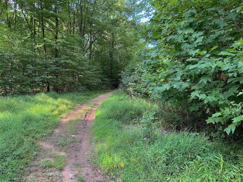 15700 Toad Run Rd, Rockbridge, OH 43149 photo 25