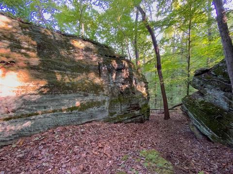 15700 Toad Run Rd, Rockbridge, OH 43149 photo 17