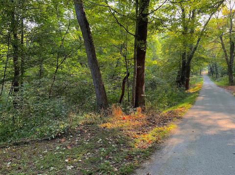 15700 Toad Run Rd, Rockbridge, OH 43149 photo 10