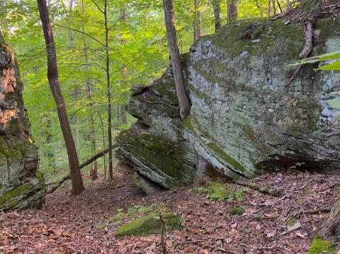 15700 Toad Run Rd, Rockbridge, OH 43149 photo 16