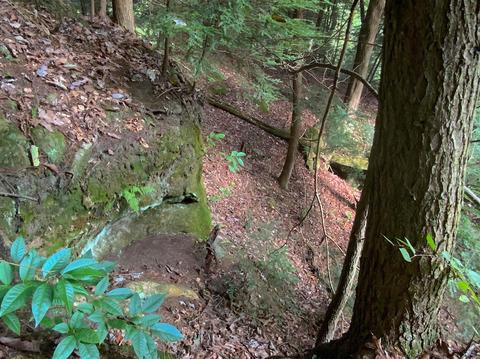 15700 Toad Run Rd, Rockbridge, OH 43149 photo 37
