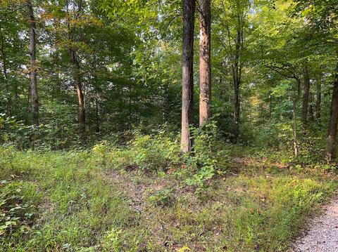 15700 Toad Run Rd, Rockbridge, OH 43149 photo 12