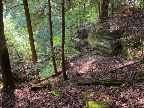 15700 Toad Run Rd, Rockbridge, OH 43149 photo 38