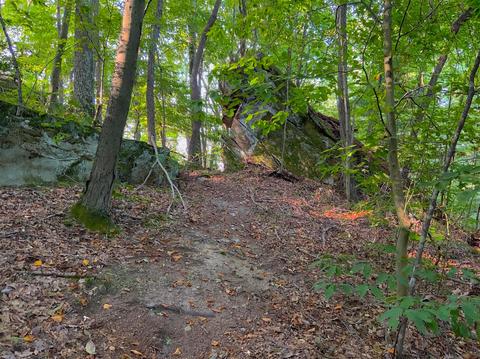 15700 Toad Run Rd, Rockbridge, OH 43149 photo 13