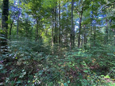 15700 Toad Run Rd, Rockbridge, OH 43149 photo 41