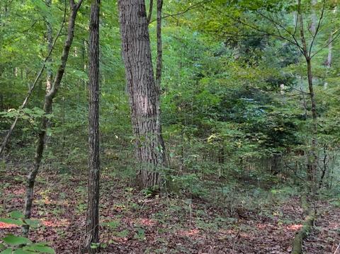 15700 Toad Run Rd, Rockbridge, OH 43149 photo 34