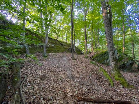 15700 Toad Run Rd, Rockbridge, OH 43149 photo 18