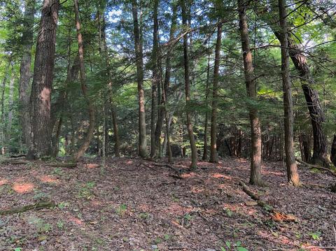 15700 Toad Run Rd, Rockbridge, OH 43149 photo 32