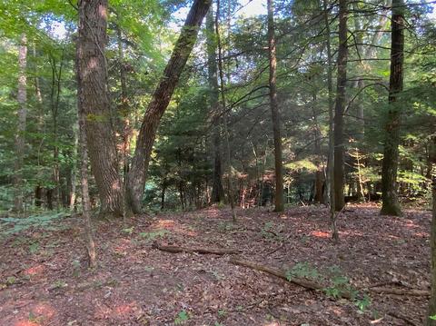 15700 Toad Run Rd, Rockbridge, OH 43149 photo 33