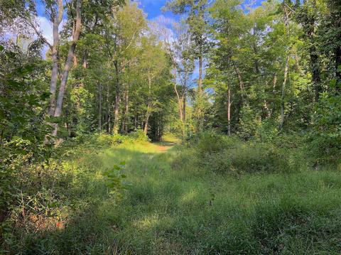 15700 Toad Run Rd, Rockbridge, OH 43149 photo 29
