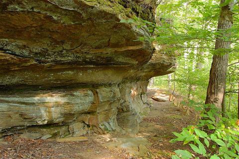 15700 Toad Run Rd, Rockbridge, OH 43149 photo 3