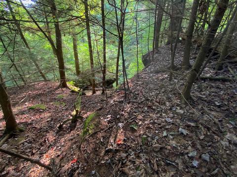 15700 Toad Run Rd, Rockbridge, OH 43149 photo 45