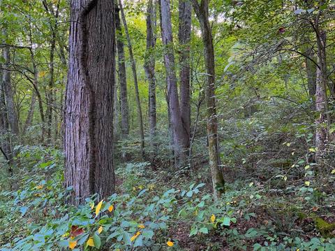 15700 Toad Run Rd, Rockbridge, OH 43149 photo 8