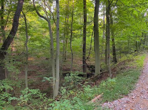 15700 Toad Run Rd, Rockbridge, OH 43149 photo 22