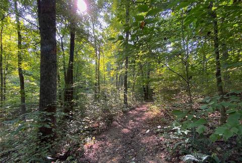 15700 Toad Run Rd, Rockbridge, OH 43149 photo 39