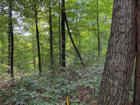 15700 Toad Run Rd, Rockbridge, OH 43149 photo 27