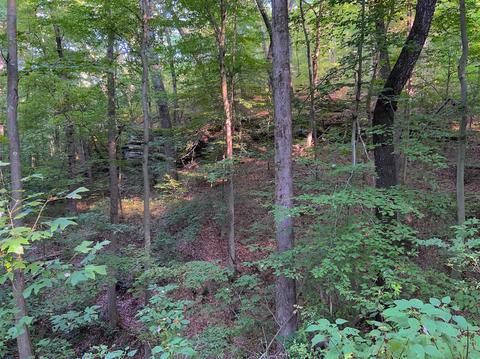 15700 Toad Run Rd, Rockbridge, OH 43149 photo 21