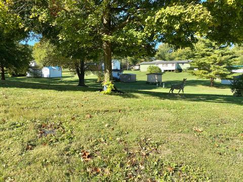 6643 State Route 56 E, Circleville, OH 43113 photo 10