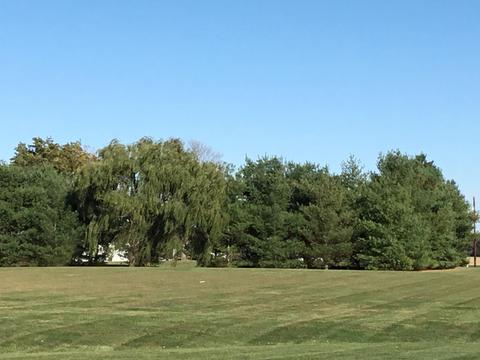 17583 Commercial Point Rd, Circleville, OH 43113 photo 18
